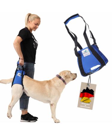 Nature PET carrier aid for dogs at the back - carrying strap as stair aid - ideal for older sick or operated dogs - dog lift (XL black) black XL (1 Pack) - Buy Online on GoSupps.com