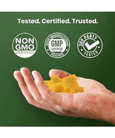 Cured Sea Moss Gummies | Made in America w/Raw Sea Moss, Bladderwrack, & Burdock Root | Potent Seamoss Gummies for Immune, Gut, & Skin Health | 3X Stronger Than Gel | 30 Day Supply - Buy Online on GoSupps.com