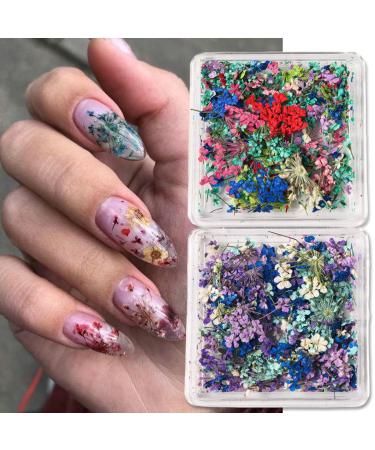 Buy 4Box 3D Dried Flowers Nail Art Stickers - Colorful DIY Mini Flower Petals for Nail Design - Natural Floral Decals for Manicure & Craft Accessories - Buy Online on GoSupps.com