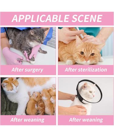 Professional Cat Recovery Suit | Breathable Surgical & E-Collar Alternative for Abdominal Wounds & Skin Diseases | Anti-Licking Regeneration Wear - Buy Online on GoSupps.com