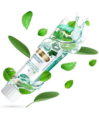 Dentiste Plus White Premium toothpaste - toothpaste for white teeth with 14 herbs xylitol and probiotics - Ayurveda toothpaste with whitening effect - helps build gums and tooth enamel - Buy Online on GoSupps.com
