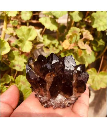 Bulk Rough Natural Black Smoky Quartz Crystal Cluster for Reiki Rock Crafts 250G-650G Crystal Cluster (Color : 450G-550G) - Buy Online on GoSupps.com