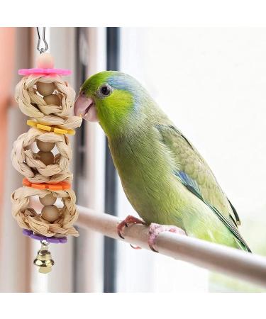 Allazone Bird Parrot Toys 14 PCS Hanging Bell Pet Bird Cage Hammock Swing Toy Bird Perch Toys Wooden Chewing Toy for Conures Love Birds Small Parakeets Cockatiels Macaws Style A - Buy Online on GoSupps.com