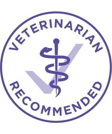 Purina ONE +Plus Dry Senior Dog Food Healthy Aging 7+ with Chicken - 6 kg Bag 6 kg (Pack of 1) - Buy Online on GoSupps.com