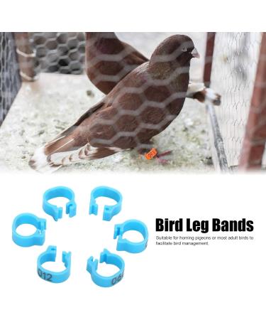Birds Foot Rings Identification Poultry Leg Bands Easy to Install and Disassemble for Birds Pigeons Chicken Parrot Ducks Hens (Blue) - Buy Online on GoSupps.com