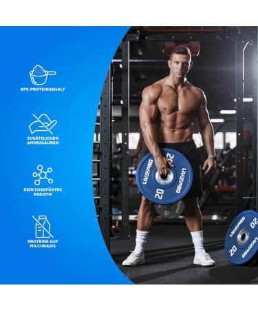 BioTechUSA Beef Protein 87% Hydrolysed Peptide Formula 1816g Vanilla-Cinnamon - Lactose & Gluten-Free, Low-Fat, Sugar-Free, Paleo Diet-Friendly - Buy Online on GoSupps.com