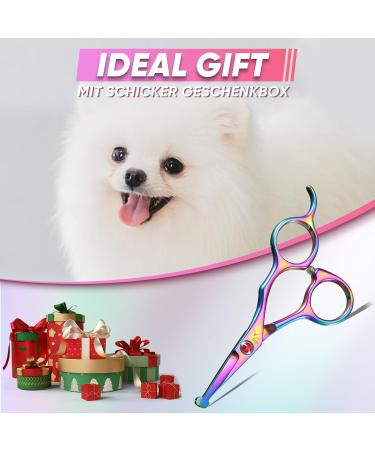 DRGSKL Small Dog Care Scissors - Professional Safe Round Point Detail Trim - Japanese Stainless Steel 440C - Perfect for Dogs & Cats - Rainbow Edition - Buy Online on GoSupps.com
