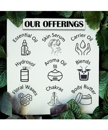 Deve Herbes Pure Liquorice (Licorice) Oil (Glycyrrhiza glabra) (Pack of Three) 100ml X 3 (10 oz) - Buy Online on GoSupps.com