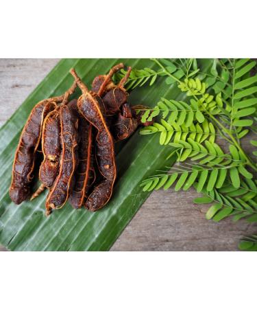 Quast Horseradish Fresh Tamarinds - 100% Sweet & Sour Dates from Thailand | 400g Pack - Buy Online - Buy Online on GoSupps.com