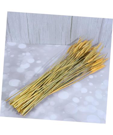 MAGICLULU 1 Decor Natural Wheat Rural Wheat Dried Wheat Simulation Wheat Dried Flowers Bouquet - Buy Online on GoSupps.com