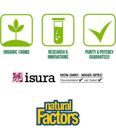 Natural Factors 3 Brains Serene Mind - 120 Vegetarian Capsules for Calming Support - Buy Online on GoSupps.com