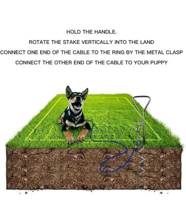 CTOPOGO Integespirale Dog Leash - Durable Hofleine with Stainless Steel Hooks for Small & Medium Dogs - Perfect for Outdoor Courtyard & Camping (10m Blue) - Buy Online on GoSupps.com