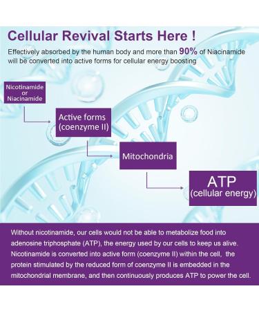 Nicotinamide 500mg Gummies Vitamin B3 Flush Free Nicotinic Amide Niacin Supplement for Adults w/Vitamin A E C Biotin & Zinc for Healthy Aging & Cellular Energy Metabolism Gelatin Free 120cts - Buy Online on GoSupps.com