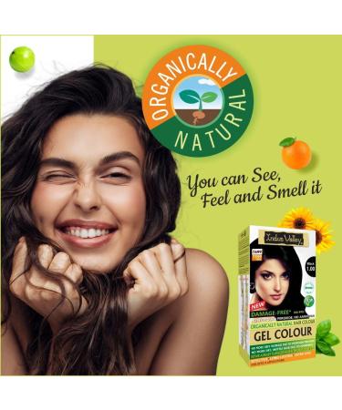 Indus Valley Organic Permanent Gel Hair Color - Ammonia Free, Vegan, Cruelty Free | Black 1.0 | 100% Gray Coverage | Doctor Recommended | Bio Natural Certified - Buy Online on GoSupps.com