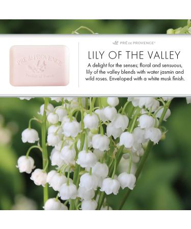 Pre de Provence Lily of the Valley Artisanal Soap Bar - 5.3 oz - Enriched with Organic Shea Butter - French Skincare - Moisturizing Lather - Buy Online on GoSupps.com