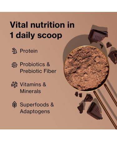 BODi Shakeology Whey-Based Protein Powder Gluten-Free Superfood Shake with Vitamins & Minerals Helps Support Healthy Weight Loss & Gut Health Chocolate 14 Individual Packets Chocolate Whey - Buy Online on GoSupps.com