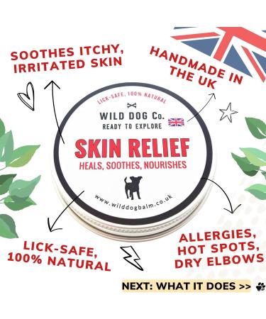 Itchy Allergy Skin Relief Balm for dogs instantly soothes itchy dogs hot spots dry flaky irritated skin allergies natural remedy UK-made moisturises dry elbows and flaky skin 60g tin 60 g (Pack of 1) - Buy Online on GoSupps.com