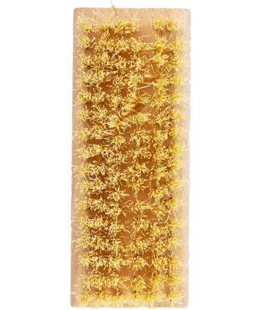 Eco Bath Natural Sisal Nail Brush Nail Brushes for Cleaning Nails Eco Friendly and Hard Bristle Nail Scrubbing Brush Cleaning Nails With Hard Sisal - Buy Online on GoSupps.com
