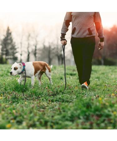 Wolfone 3m Black Lightweight Training Lead for Large, Medium, Small Dogs/Cats - Non-Slip Latex Silk Daily Lead for Recall, Camping, Walking - Buy Online on GoSupps.com