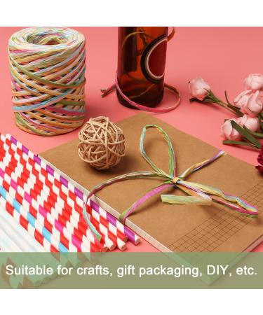 Yzzsjc 656ft Colored Raffia Ribbon for Gift Wrapping and Craft Projects - Blue - Buy Online on GoSupps.com
