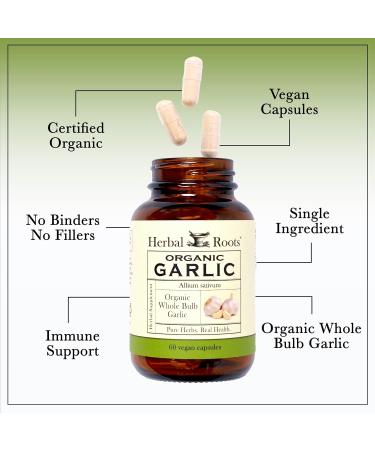 Organic Whole Bulb Garlic Pills - 600mg 60 Capsules - Immune & Cardiovascular Support - Made in USA - Buy Online on GoSupps.com