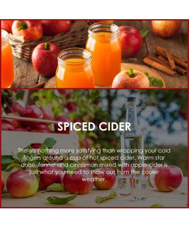 SALUBRITO Spiced Cider Essential Oil 120ml - Pure & Natural Aromatherapy Oil for Diffuser, Skin, Headache Relief, Sleep - Strong Scent for Candle & Soap Making - Buy Online on GoSupps.com