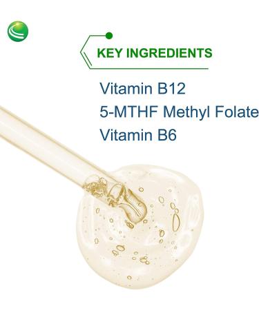 Nutra BioGenesis Methyl Factors - B12 and Methyl Folate for Brain & Cardiovascular Health - Berry Flavor - 2oz - Buy Online on GoSupps.com