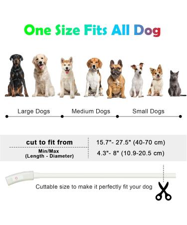 Auauy LED Light Neck Band for Dogs & Cats | Adjustable USB Charging Waterproof Safety Silicone Collar - 4 Color Modes - Buy Online on GoSupps.com
