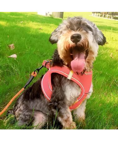 Joyal Dog Harness - Reflective Soft Padded Air-Mesh Breast Harness for Small & Medium Dogs | Size L (47-55cm) - Pink - Buy Online on GoSupps.com