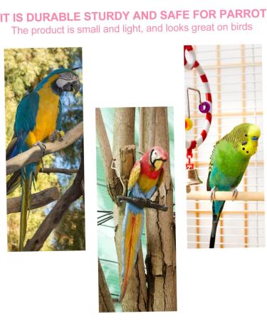 Angoily Parrot Flight Suit & Harness for Parakeets - Suede Size M & 4M - Shop Internationally - Buy Online on GoSupps.com