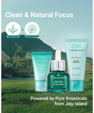 BRING GREEN TEA TREE CICA SET | Korean Skin Care Kit for Acne-Prone, Sensitive Skin | Zinc Teca Serum, Tea Tree Hydrating Moisturizer & Deep Cleansing Foam | Oil Control & Pore Care | K-Beauty Gift SOOTHING TRIO SET - Buy Online on GoSupps.com