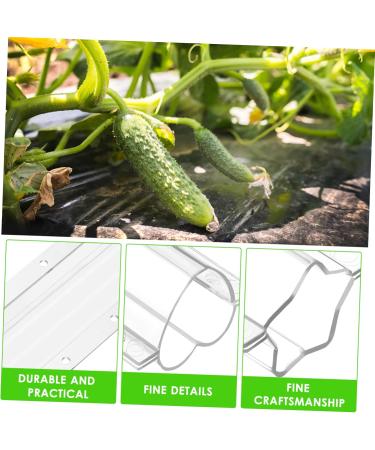 Gogogmee 4pcs Garden Cucumber Star Candy Shaped Growth and Plangting Vegetables Rigid Growing Vessel - Buy Online on GoSupps.com