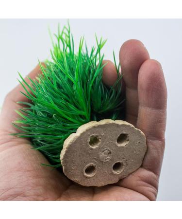 TAOMYPETS Plastic Aquarium Plants - Coral Reef Ornaments for Fish Tanks | Green Aquarium Decor for Vibrant Aquatic Life - Buy Online on GoSupps.com