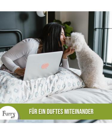 Furry Dental Spray for Dogs & Cats - 100ml | Fresh Breath Tartar Prevention & Mole Smell Control | Vegan & Aloe Vera Formula - Made in Germany - Buy Online on GoSupps.com