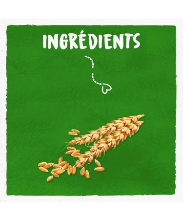 BJORG - Spelt Drink - No added sugars - Organic vegetable drink - Low in Saturated Fats - 1L - Buy Online on GoSupps.com