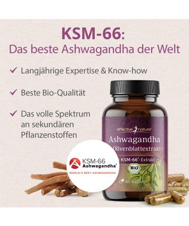 Ashwagandha KSM-66 & Olive Leaf Extract - Organic 600mg 60 Vegan Capsules - Premium Stress Relief & Wellness Support - Buy Online on GoSupps.com