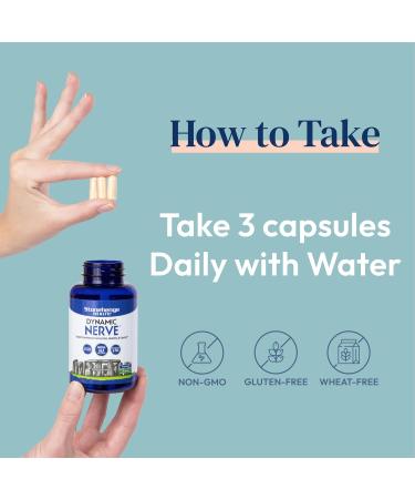Stonehenge Health Dynamic Nerve Supplement - Support Nerve Function with ALA Benfotiamine & B Complex for Hands Feet & More | International Shipping Available - Buy Online on GoSupps.com