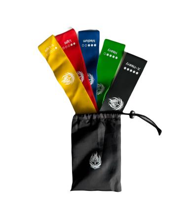 EnduraBand Resistance Workout Bands for Exercise Set of 5 with Portable Bag