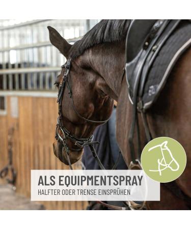 Test Winner: Fly Spray for Horses 1L - Aloe Vera Insect Repellent & Brake Blocker for Unmatched Protection | International Shipping Available - Buy Online on GoSupps.com