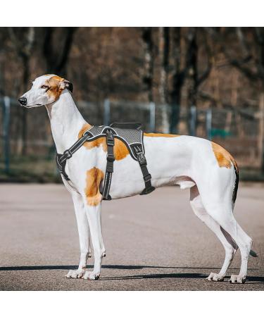 Heele XL Black Dog Harness Reflective Breakout Buckle Robust Handle & Panic Clip for Ultimate Comfort and Stability - Buy Online on GoSupps.com