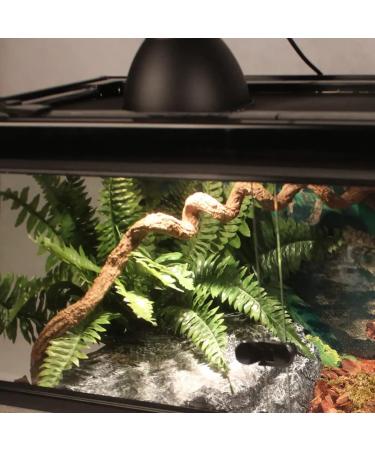 Buy Aiicioo 5.5 Inch E27 Terrarium Lamp for Iguanas | Reflector Clamp Lamp for Lizards & Turtles - Buy Online on GoSupps.com