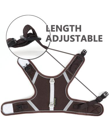 Cat Leash with Dishes - Reflective Cat Dishes & Leash for Safe Outdoor Adventures - Buy Online on GoSupps.com