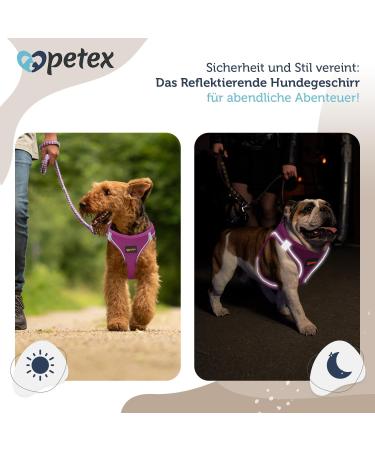 Petex Dog Harness for Small & Medium Dogs - TUV Tested Made in Europe Reflective Breathable with Air Mesh Technology - Purple 2XS - Buy Online on GoSupps.com