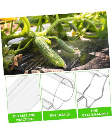 SUPVOX 4pcs Shaped Cucumbers Cucumber Shaping Vegetable Growing Tools Ginseng Fruit Candy - Buy Online on GoSupps.com