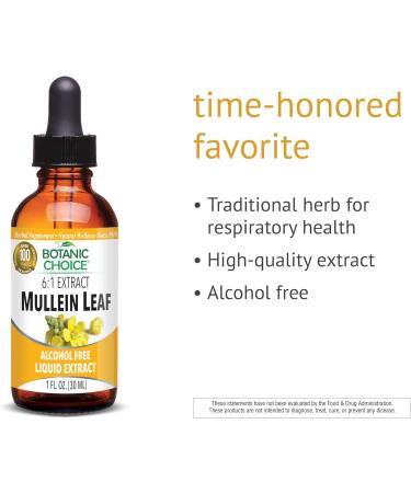 Botanic Choice Mullein Leaf Liquid Extract Alcohol Free Gluten Free Traditional Respiratory Support 1 Fl. Oz. - Buy Online on GoSupps.com