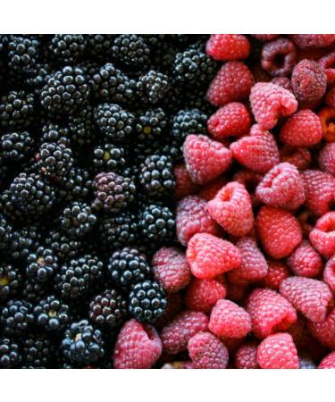 Aroma Shower gel with raspberries and blackberries - Buy Online on GoSupps.com