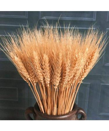 25pcs Colorful Natural Dried Flowers Bouquet Wheat Plants Bunches New Year Craft Wedding Chrismas Decor Decoration Beige 25pcs - Buy Online on GoSupps.com