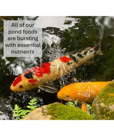 *New* 50g TROPICAL FISH FLAKES SLCP - Buy Online on GoSupps.com