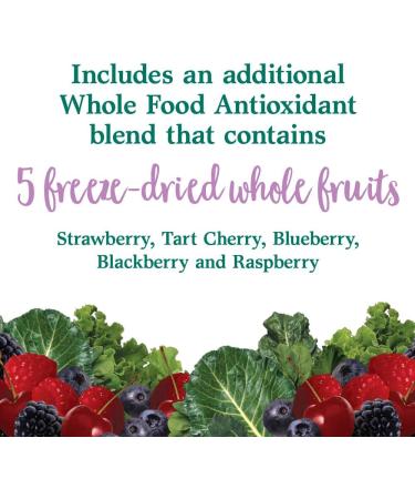 Garden of Life Perfect Food Berry Super Green Formula - 30 Servings | Superfood Powder with 49 Superfoods, Probiotics, and Spirulina - Buy Online on GoSupps.com