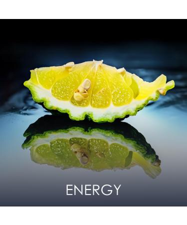 Philipp Plein Eau de Parfum No Limits 90 ml Parfum Homme Notes Orientales et Bois es Un Tatouage Olfactif Ind l bile et Sensuel Bois Oriental Flacon en Verre Laqu Noir Citrus 3 Fl Oz (Pack of 1) - Buy Online on GoSupps.com